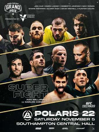 Polaris 22 poster