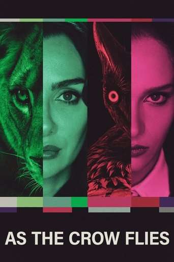 As the Crow Flies poster