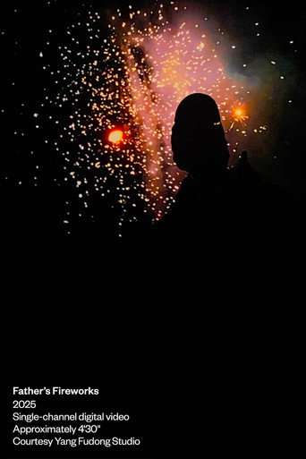Father's Fireworks poster