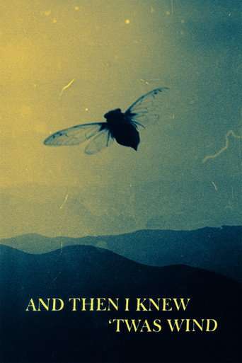 And Then I Knew 'Twas Wind poster