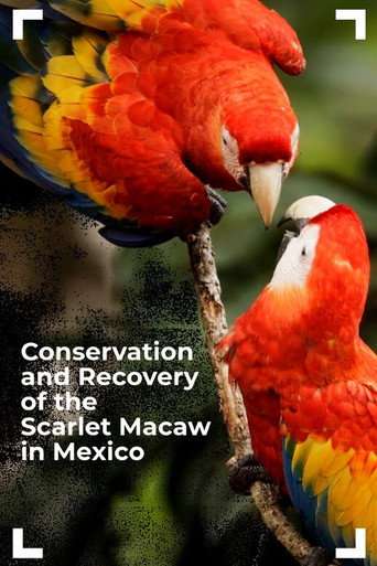 Conservation and Recovery of the Scarlet Macaw in Mexico poster