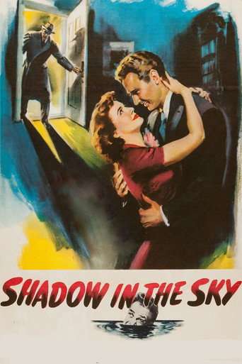 Shadow in the Sky poster