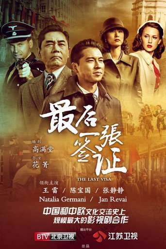 The Last Visa poster