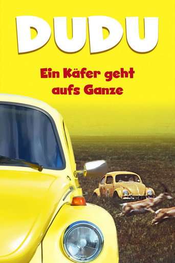 The Love Bug Rally poster