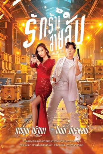 Love and Spy poster