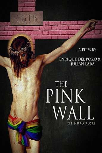 The Pink Wall poster