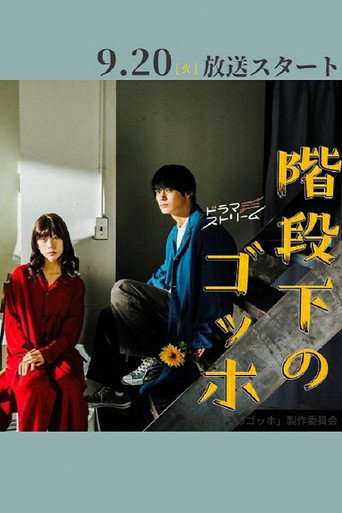 The Van Gogh Downstairs poster