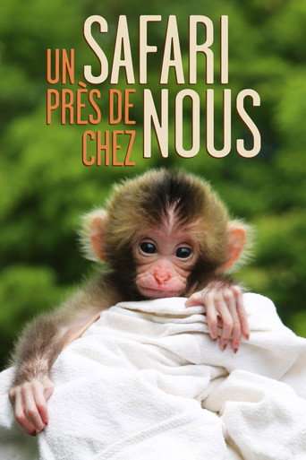 Un safari près de chez nous poster