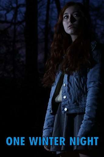 One Winter Night poster