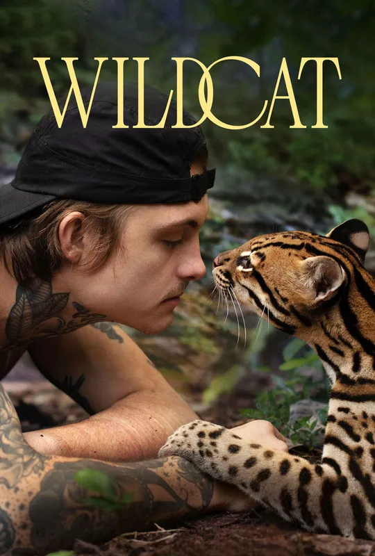 Wildcat trailer