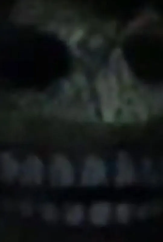 Pedigree trailer