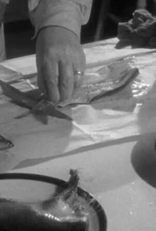 Herrings trailer