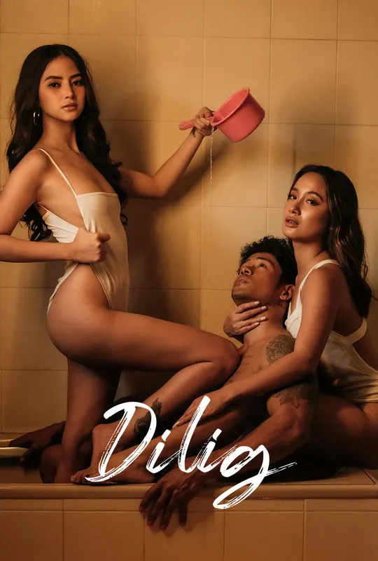 Dilig trailer