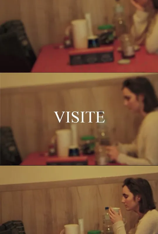 VISIT trailer