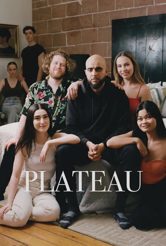 Plateau trailer