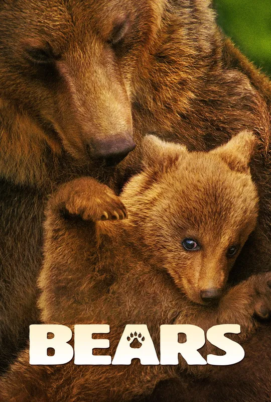 Bears trailer