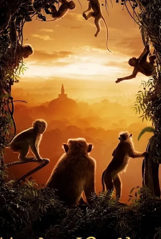 Monkey Kingdom trailer