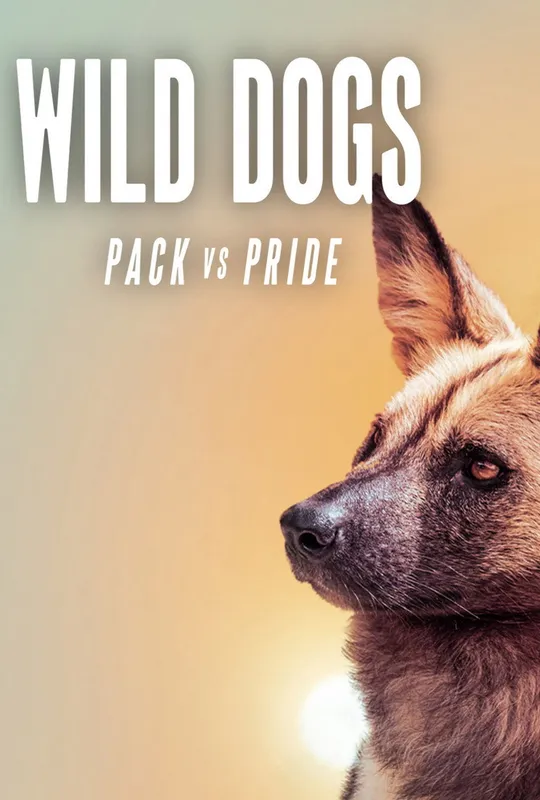 Wild Dogs: Packs Vs. Pride trailer