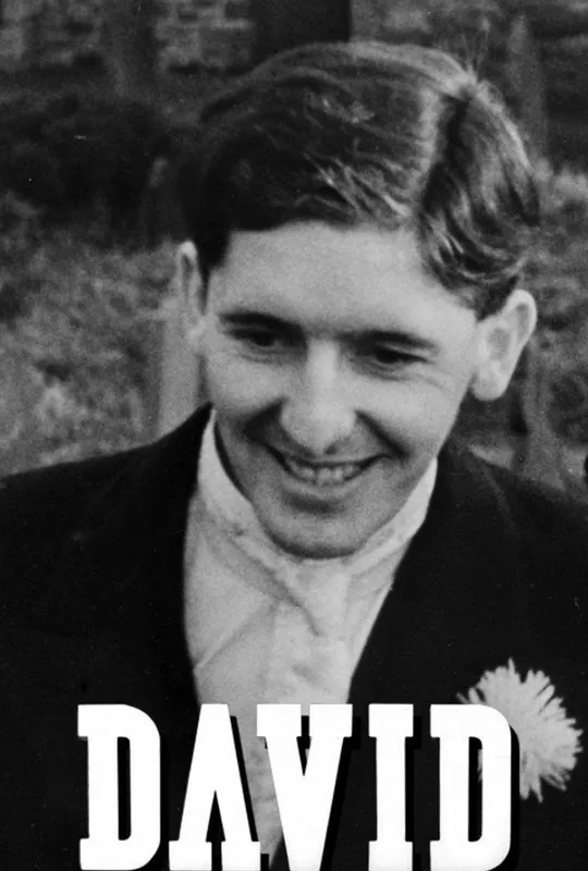 David trailer