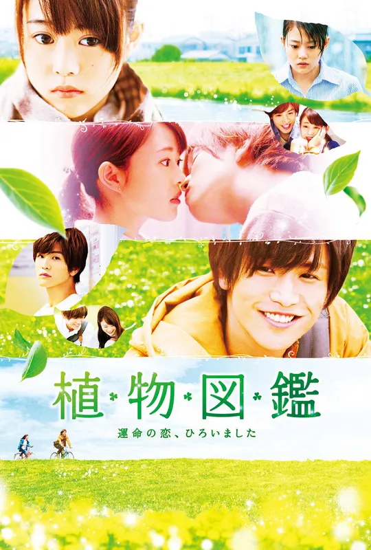 Evergreen Love trailer