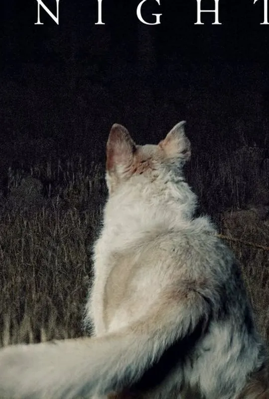 It Comes at Night trailer