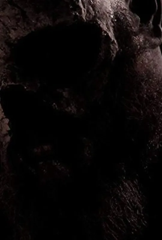 The Basement trailer