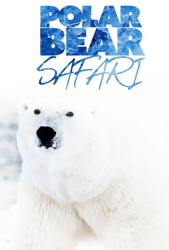 Polar Bear Safari trailer