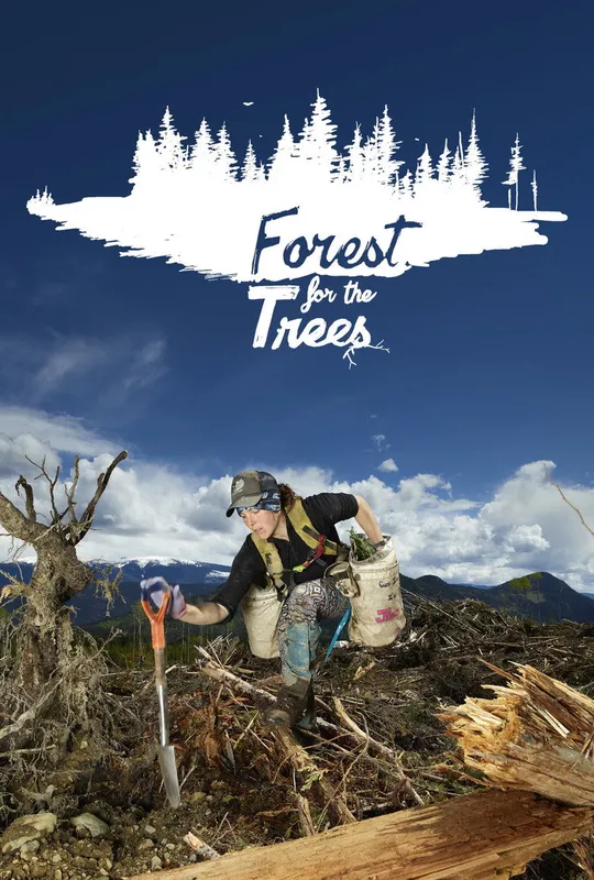 Forest for the Trees trailer