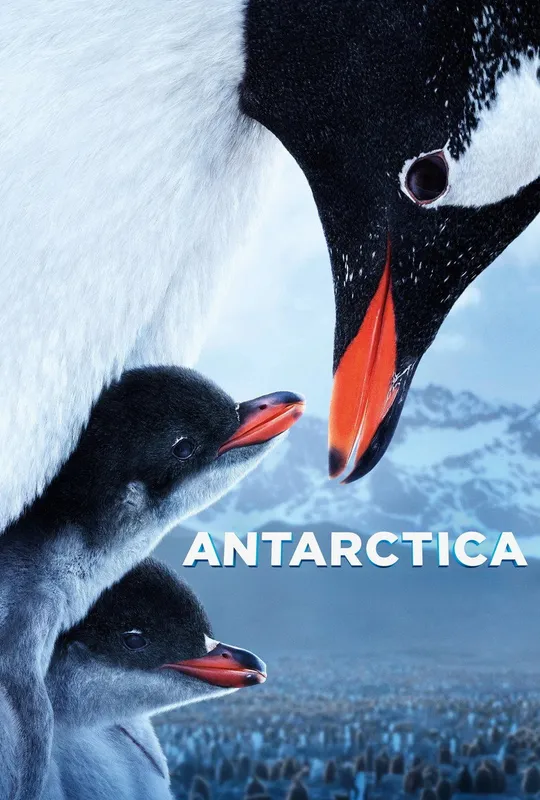 Antarctica trailer