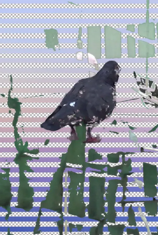 Tugging Diary trailer