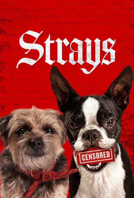 Strays trailer