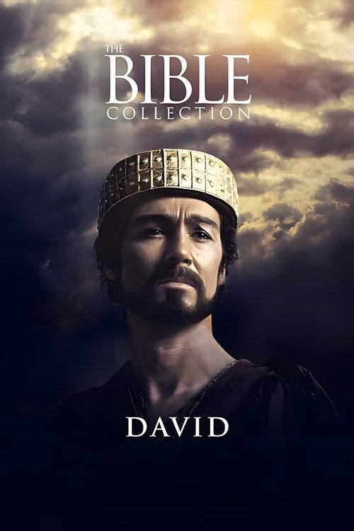 David trailer