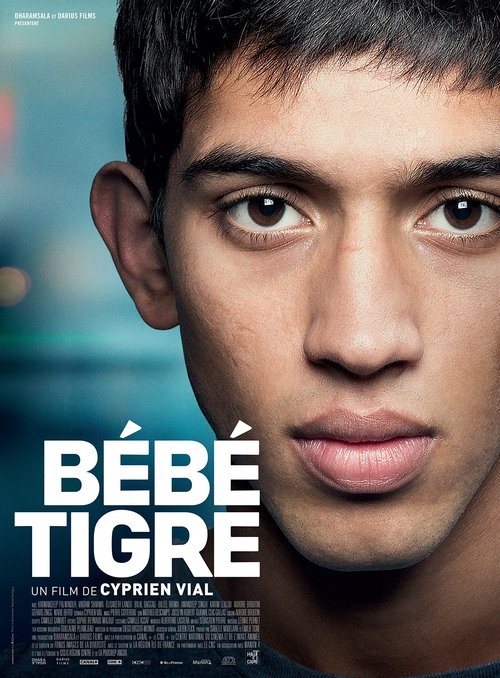 Young Tiger trailer