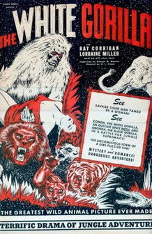 The White Gorilla trailer