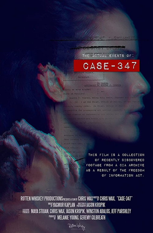 Case 347 trailer