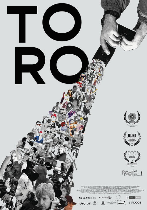 Toro trailer