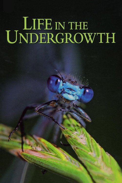 Life in the Undergrowth trailer