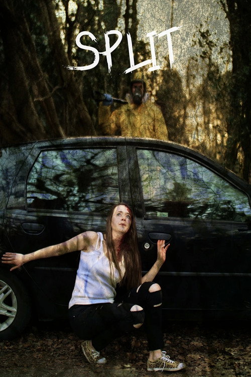 Split trailer