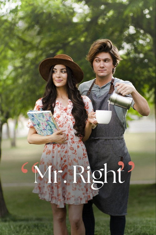 Mr. Right trailer