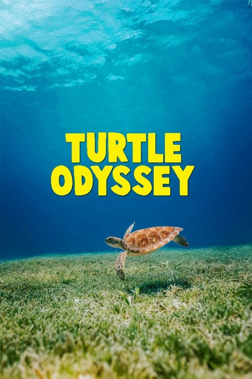 Turtle Odyssey trailer
