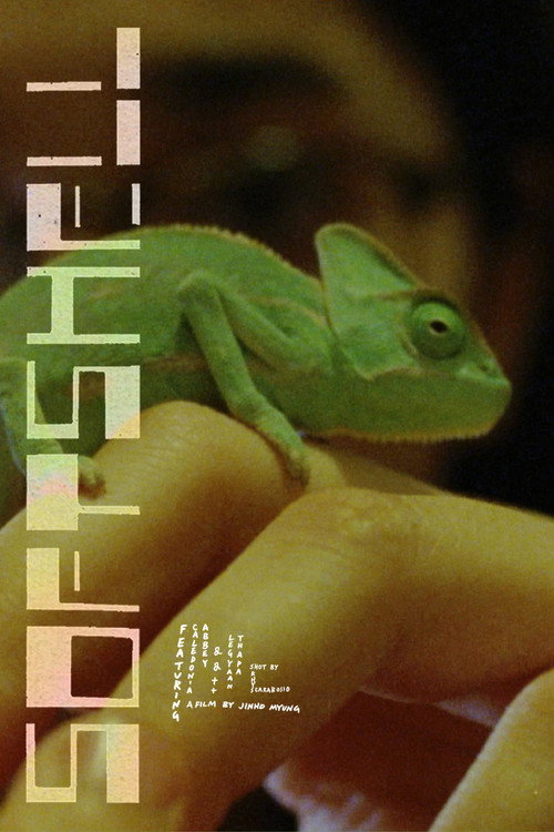 Softshell trailer