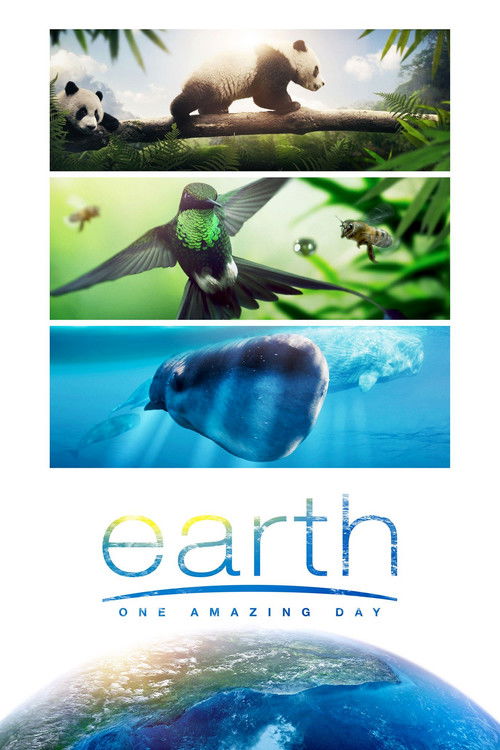 Earth: One Amazing Day trailer
