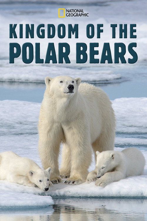 Kingdom of the Polar Bears trailer