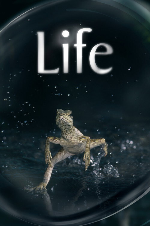 Life trailer