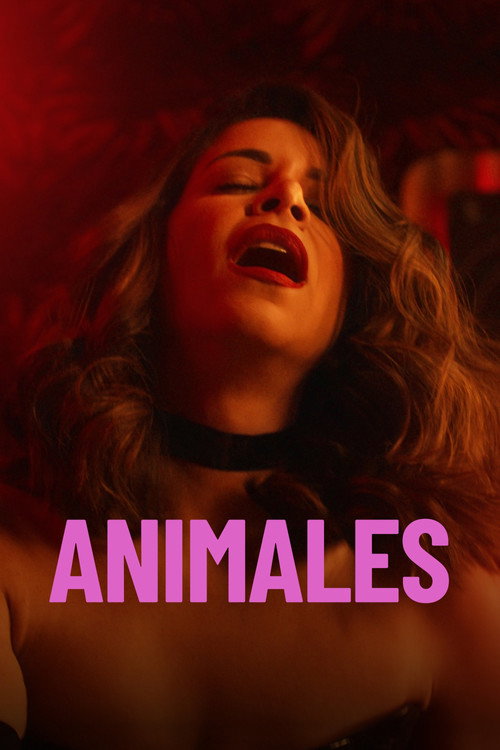 Animals trailer