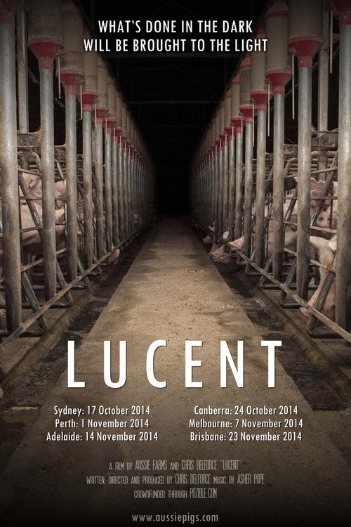 Lucent trailer