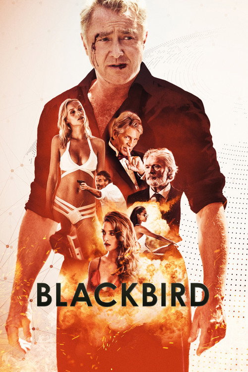 Blackbird trailer