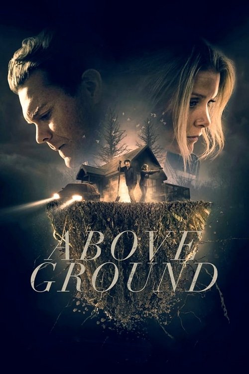 Above Ground trailer