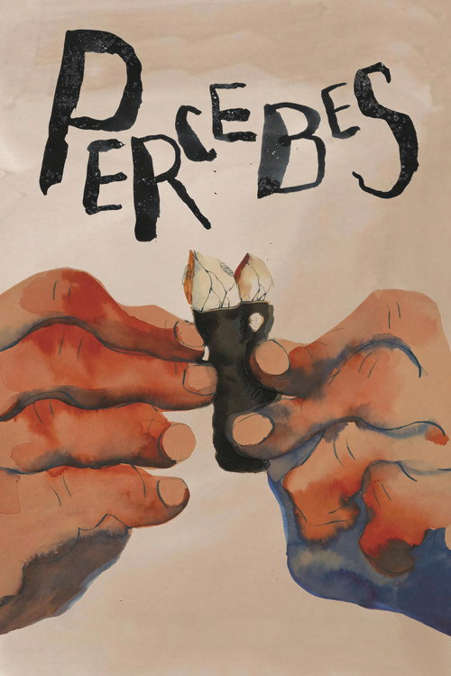 Percebes trailer