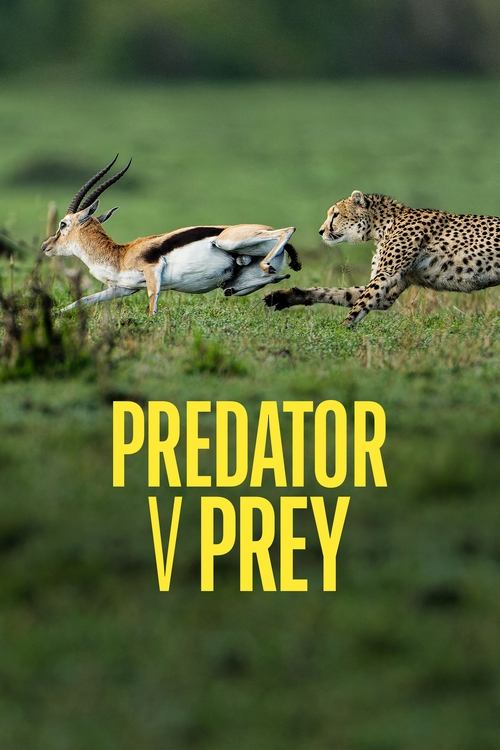 Predator v Prey trailer
